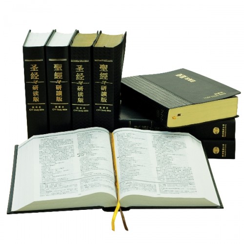 CNV Study Bible (Traditional Character / Shen Edition)